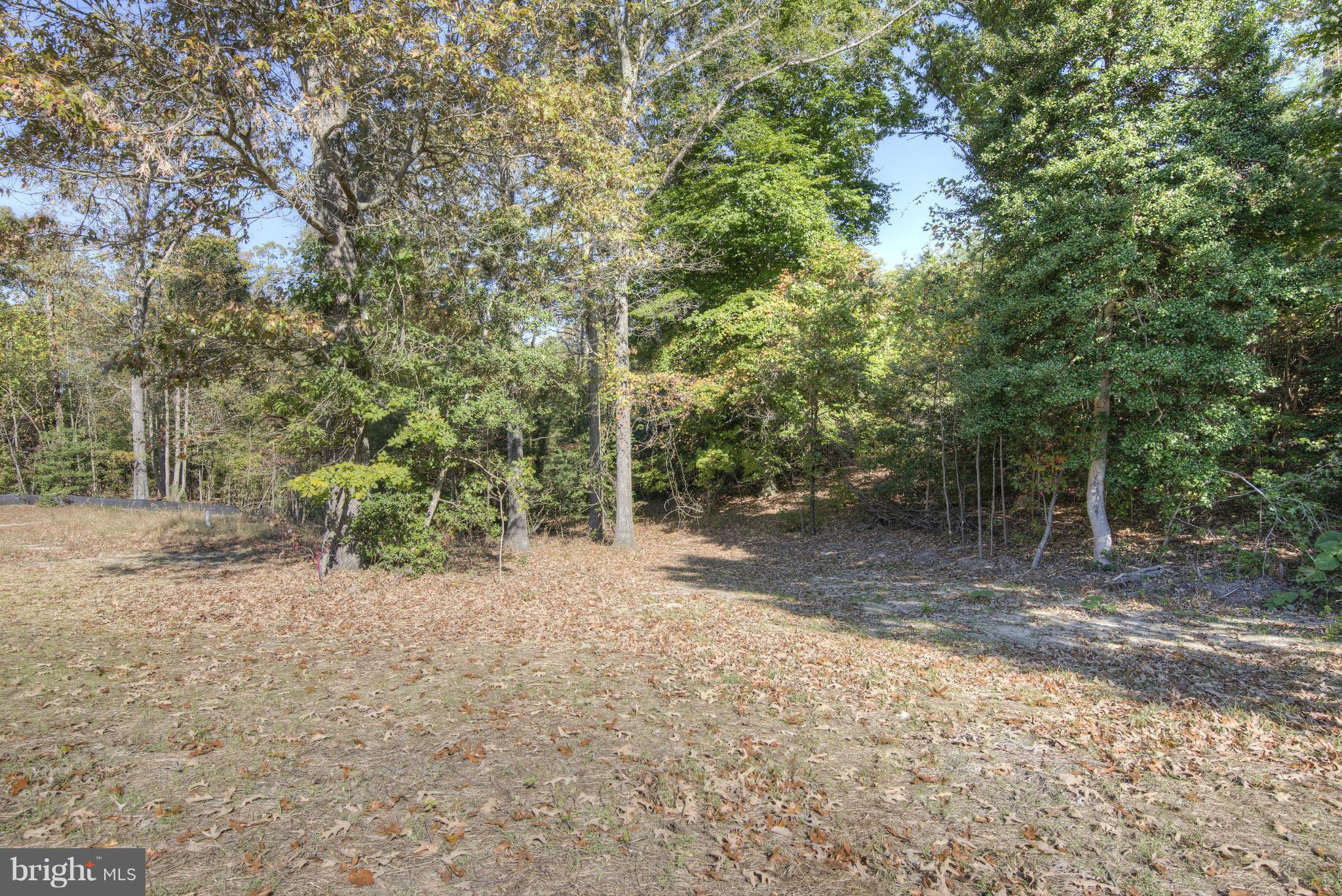 12151 Ridge Road King George, VA 22485 - Photo 20 of 20 View