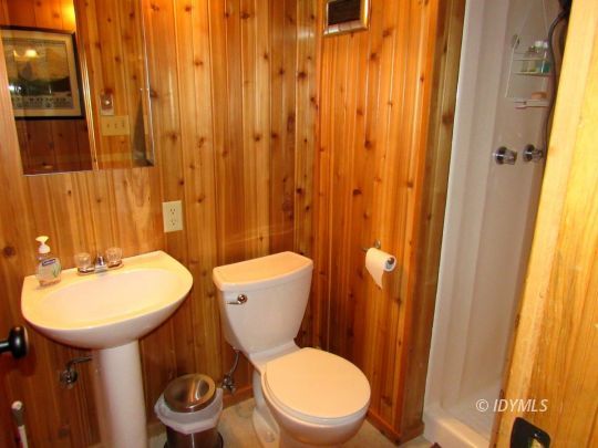 25311 Tahquitz Road Idyllwild, CA 92549 - Photo 14 of 40 Bath with shower