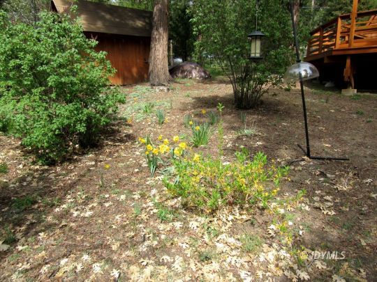 25311 Tahquitz Road Idyllwild, CA 92549 - Photo 36 of 40 Beautiful yard
