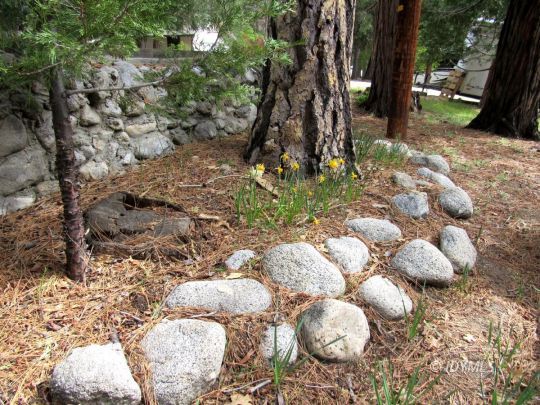 25311 Tahquitz Road Idyllwild, CA 92549 - Photo 39 of 40 Front yard