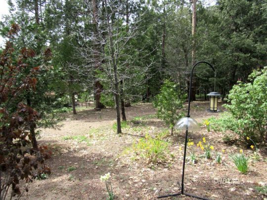 25311 Tahquitz Road Idyllwild, CA 92549 - Photo 7 of 40 Spacious grounds