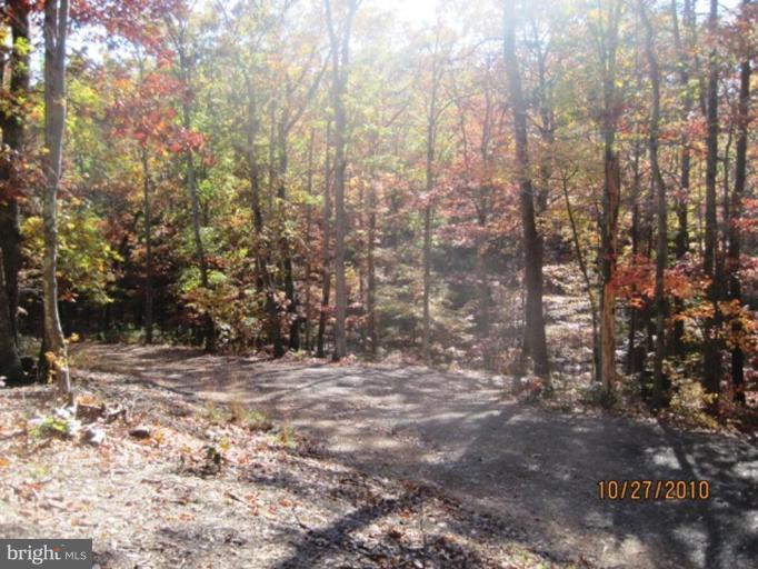 355 Rt 28 Berkeley Springs Berkeley Springs, WV 25411 - Photo 24 of 24 a view of empty room with trees