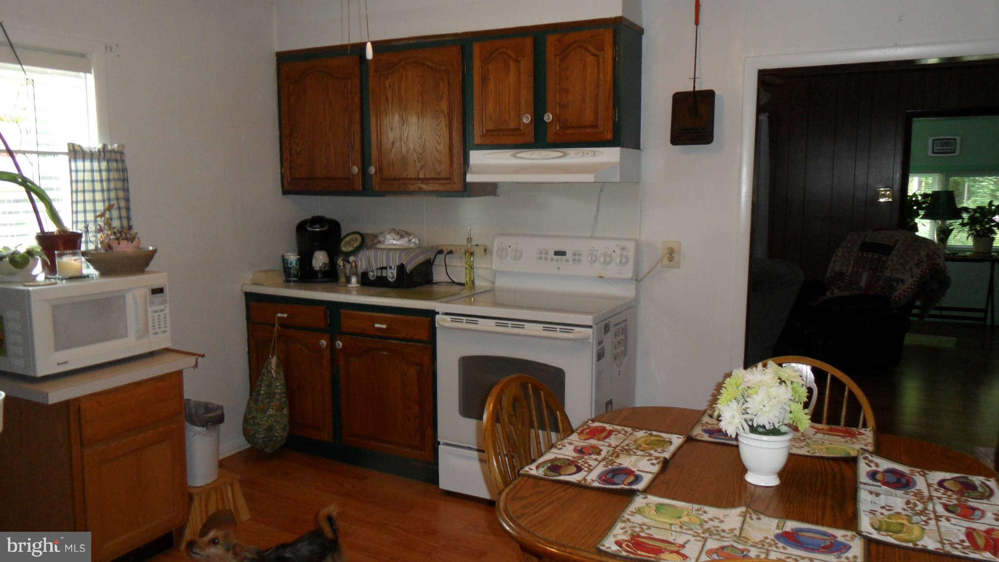 21312 Greenbrier Road Boonsboro, MD 21713 - Photo 12 of 27 Kitchen