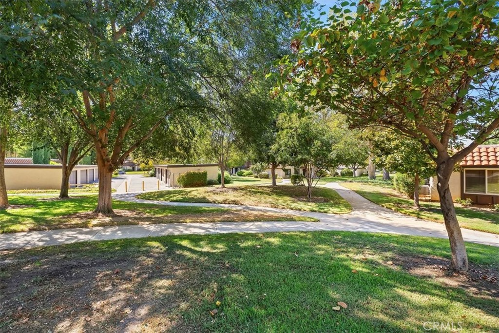2850 Monroe Street Riverside, CA 92504 - Photo 12 of 23 a view of yard with tree s