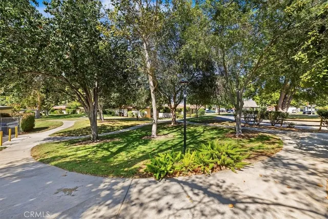 a view of yard with tree s