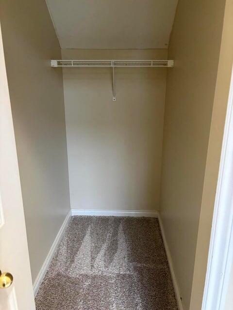 534 Constitution Street, Unit 42 Canton, MI 48188 - Photo 21 of 24 20260202014020344477000000-o