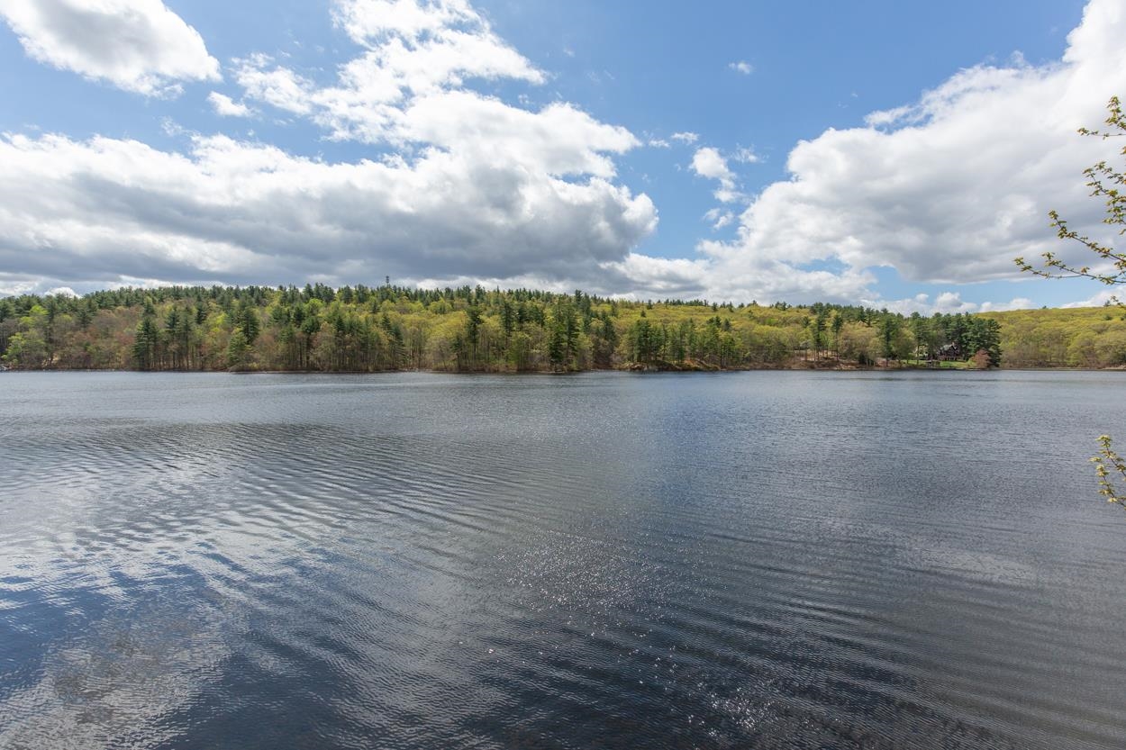 21 Hinds Lane Pelham, NH 03076 - Photo 5 of 46