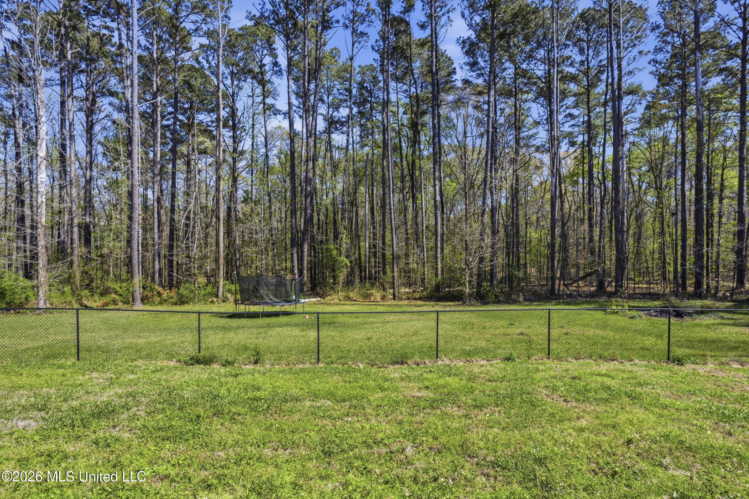 321 Louis Lane Brandon, MS 39047 - Photo 45 of 49 321 louis lane-37