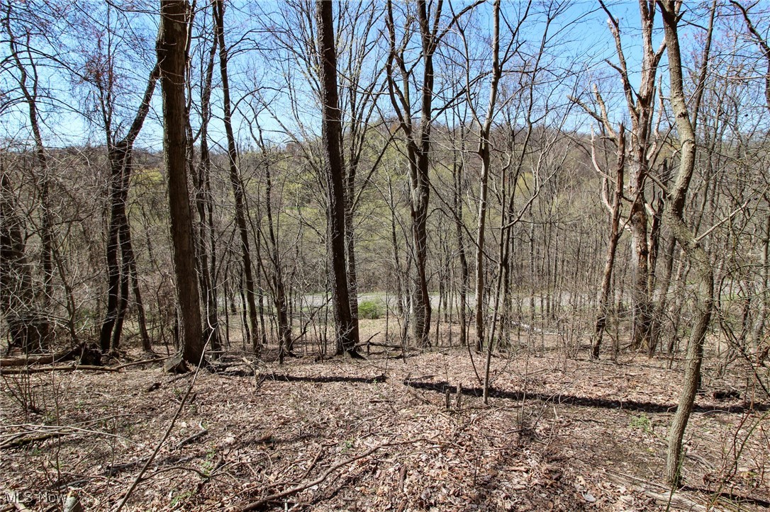 Mercer Rd Street Bridgeport, OH 43912 - Photo 11 of 19 View of local wilderness featuring a view of trees