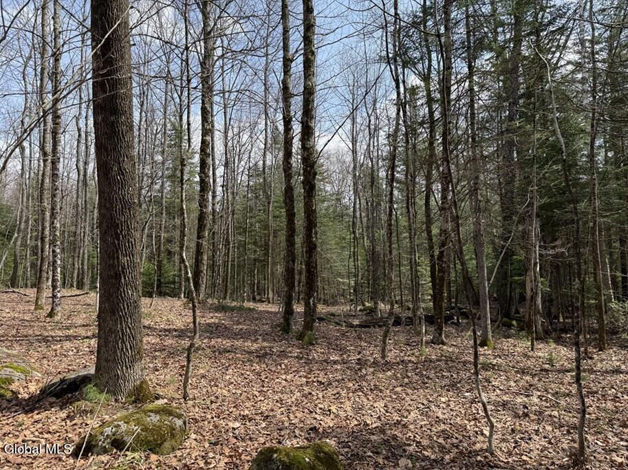 L34.3 Youngs Road, Unit 3 Olmstedville, NY 12857 - Photo 1 of 4 IMG_8511 3C