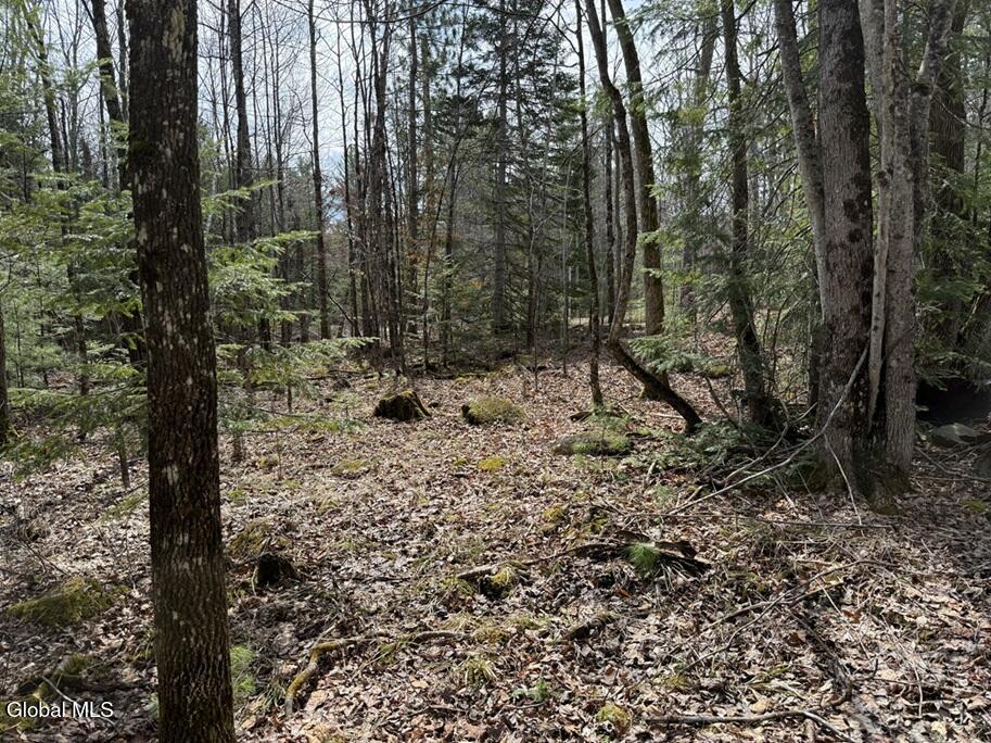 L34.3 Youngs Road, Unit 3 Olmstedville, NY 12857 - Photo 2 of 4 IMG_8510 3B