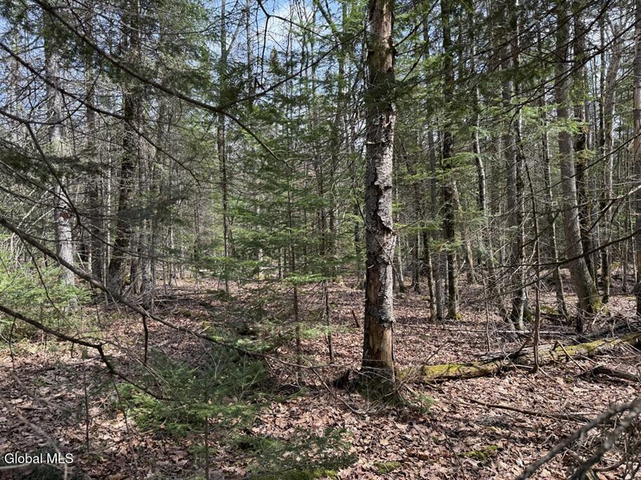 L34.3 Youngs Road, Unit 3 Olmstedville, NY 12857 - Photo 3 of 4 IMG_8512 3A