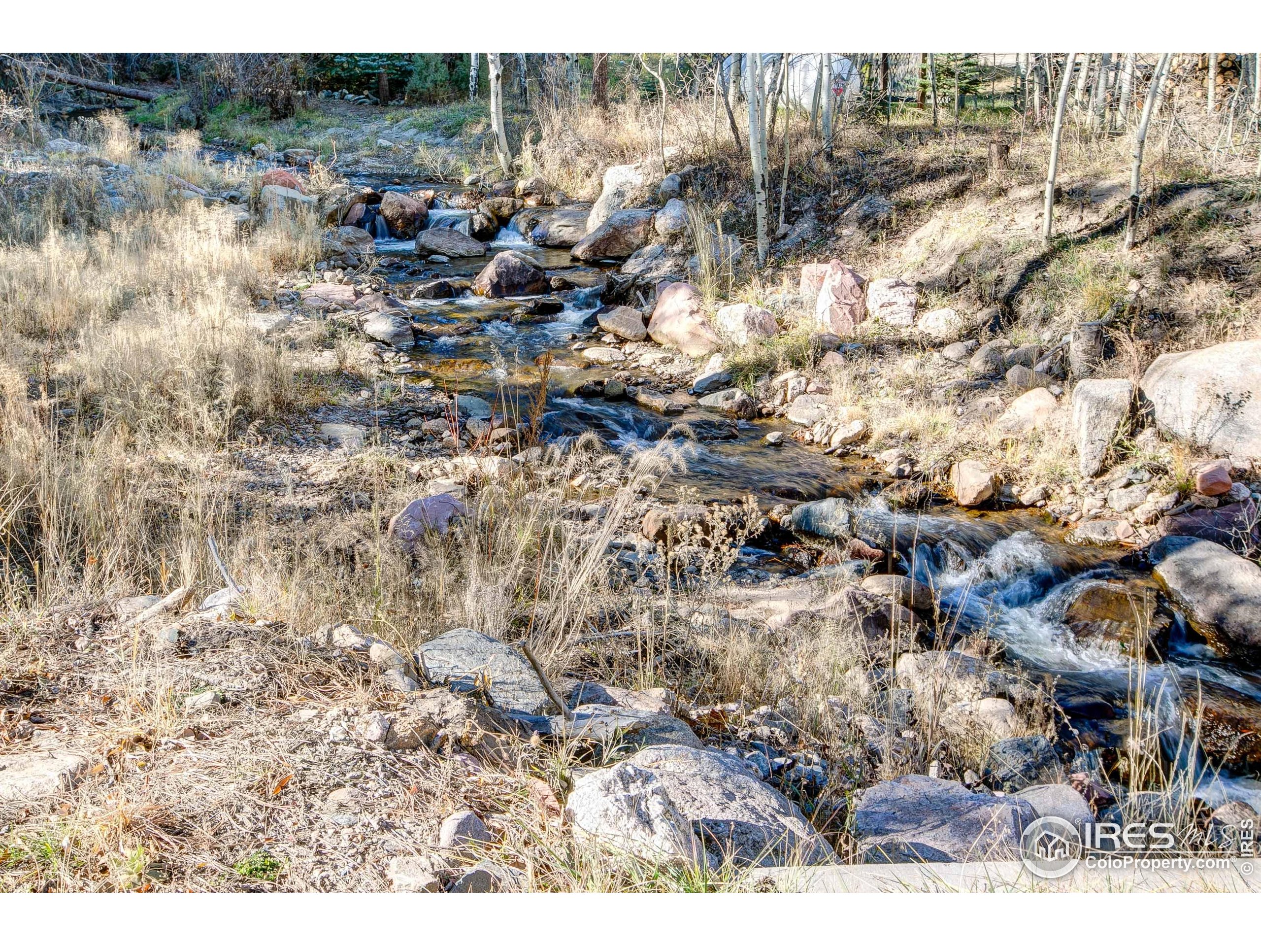 227 Streamside Drive Drake, CO 80515 - Photo 26 of 42