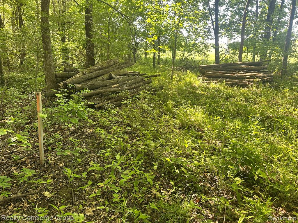 2681 Fisk Road Howell, MI 48843 - Photo 11 of 19