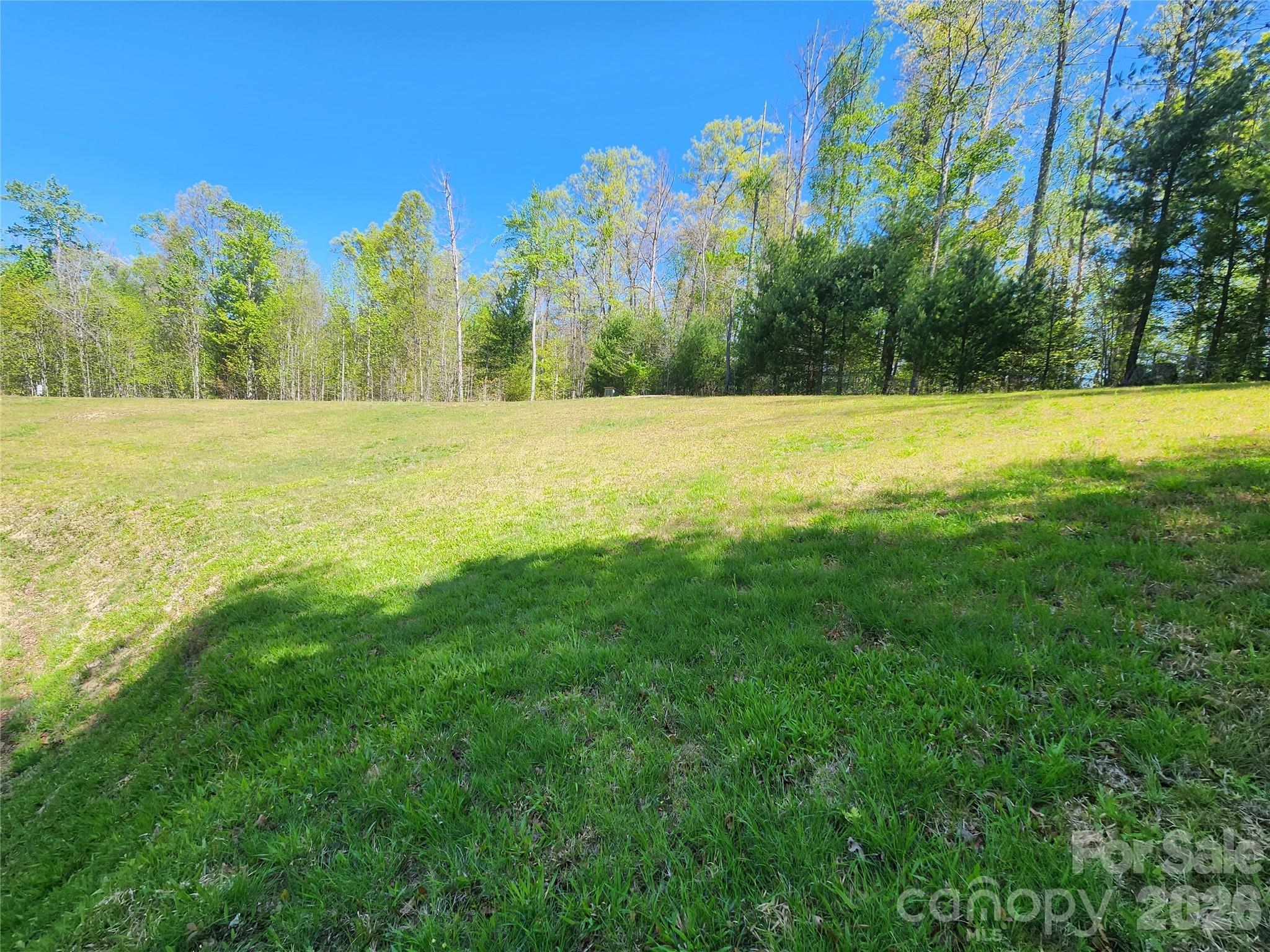 889 Firefly Trail Marshall, NC 28753 - Photo 2 of 35 a view of outdoor space with swimming pool and trees