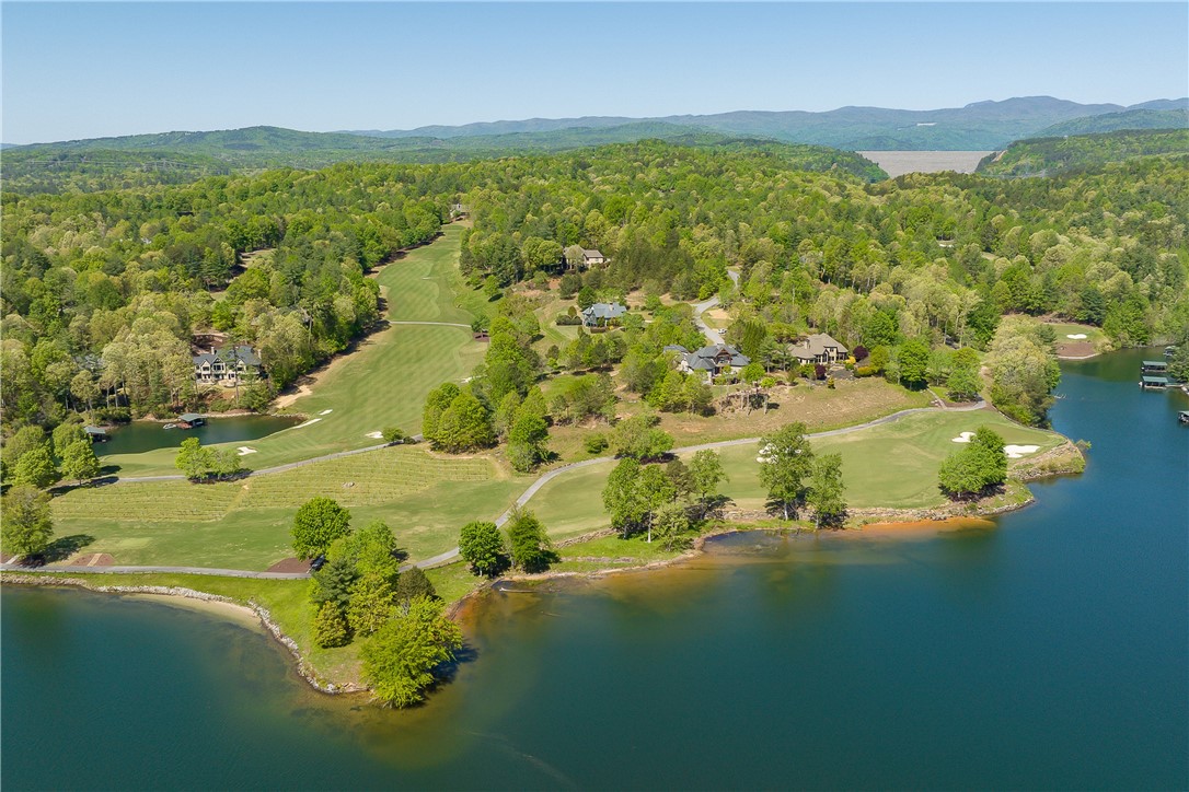 249 Long Cove Court Sunset, SC 29685 - Photo 7 of 21 Property lines depicted on aerial photographs may not be representative of actual property lines.