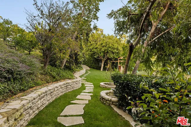 a view of a garden with plants