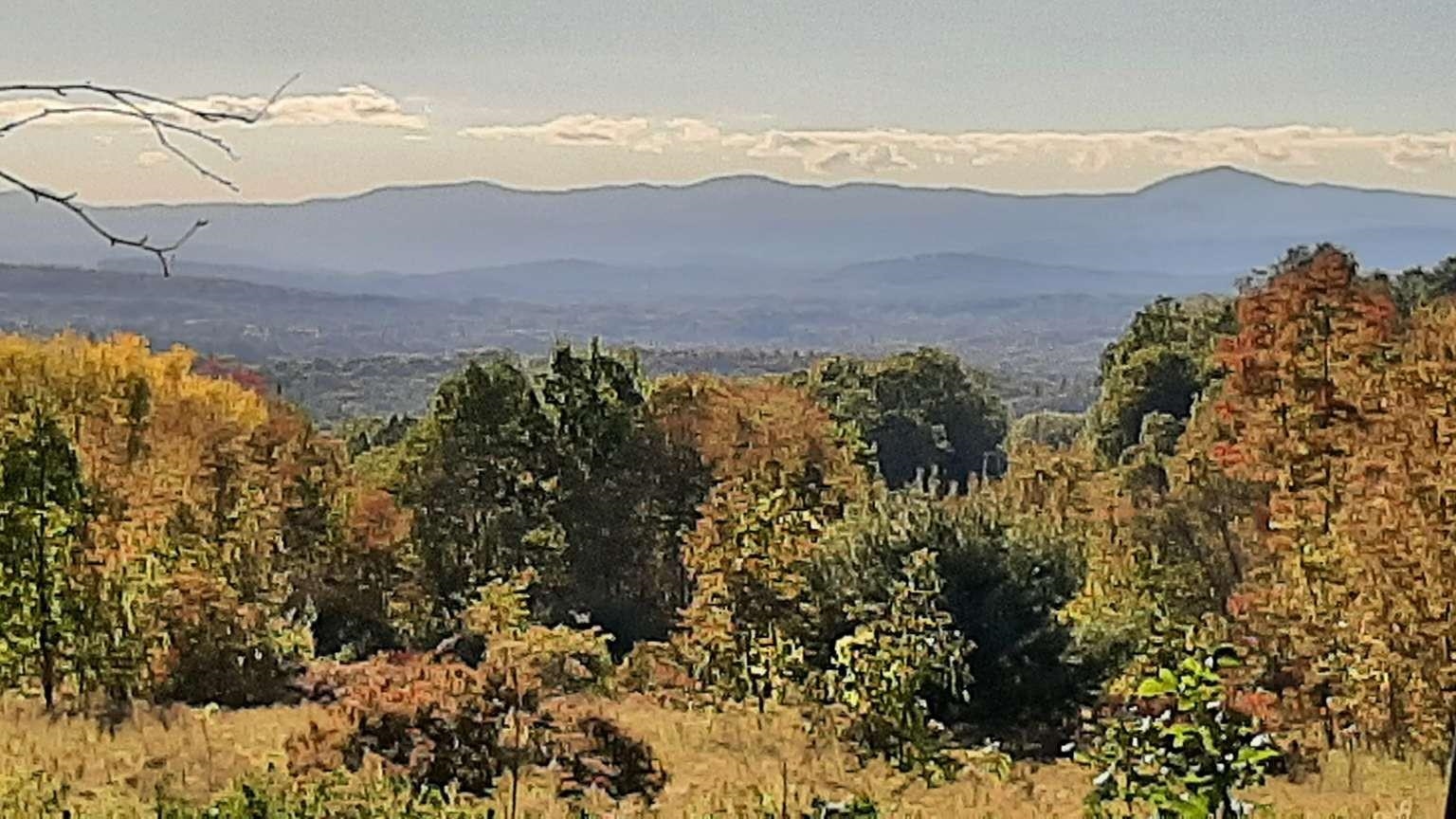 Lot 9 South Applesauce Hill Castleton, VT 05735 - Photo 6 of 17