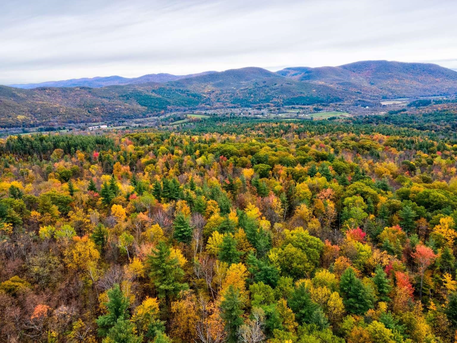 Lot 9 South Applesauce Hill Castleton, VT 05735 - Photo 8 of 17