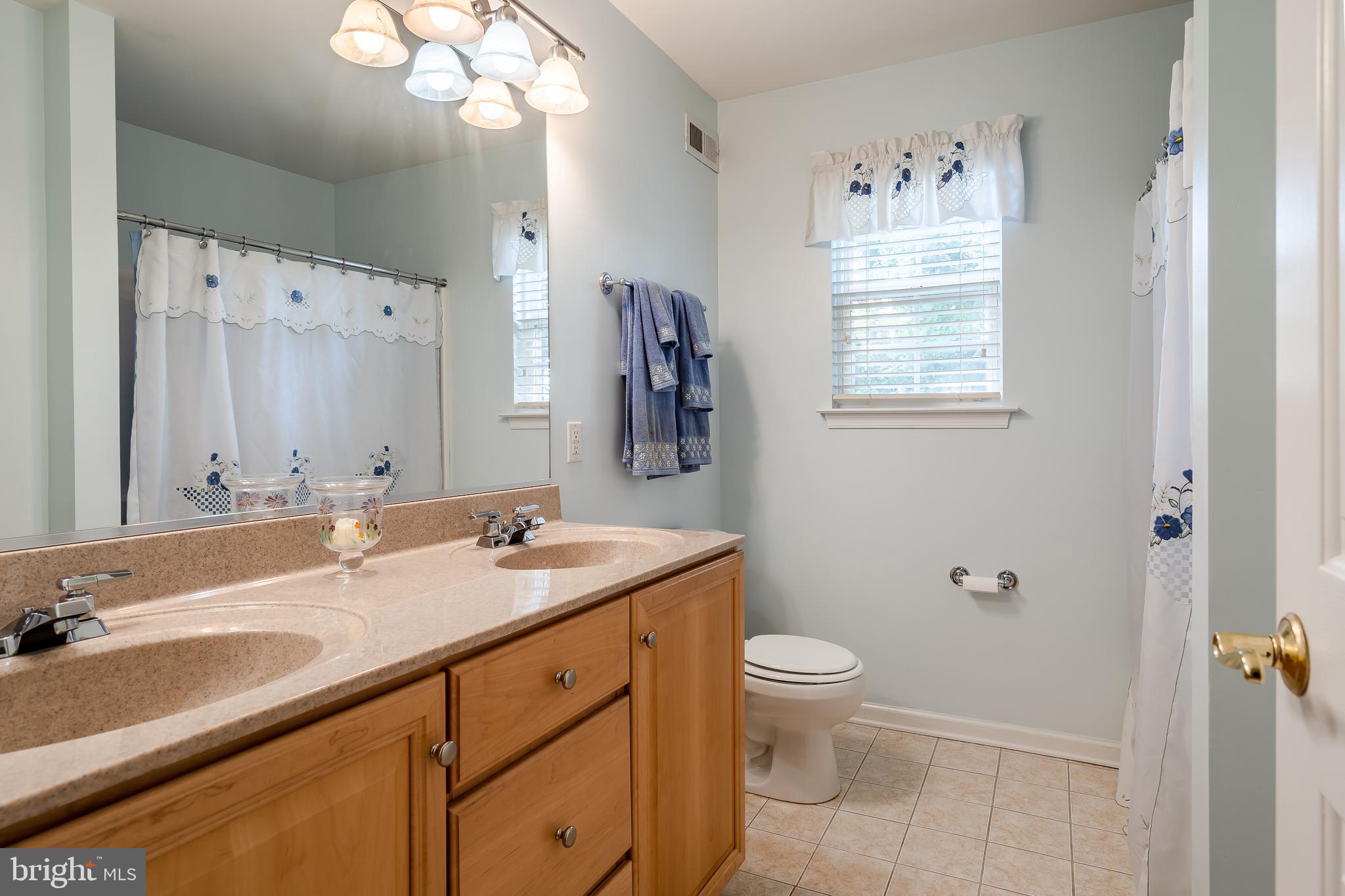 172 Durham Road Newtown, PA 18940 - Photo 32 of 42 Hall Bath w/ Dual Sinks