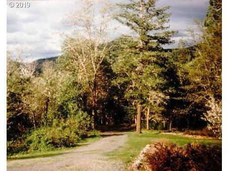 980 Schiefflin Gulch Road Gold Hill, OR 97525 - Photo 3 of 20 Additional Photo