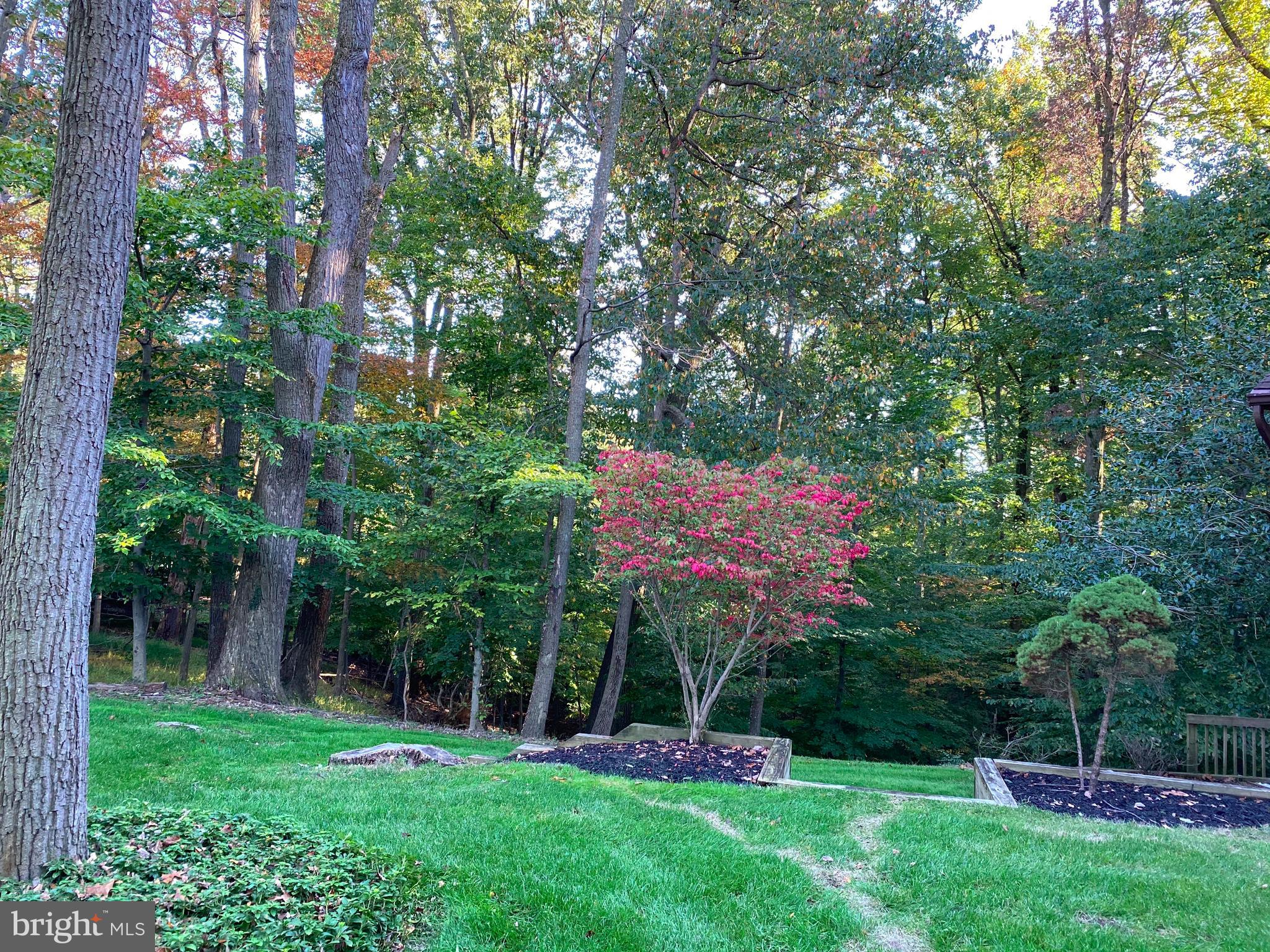 4650 Roundhill Road Ellicott City, MD 21043 - Photo 12 of 29 Gallery Image 12