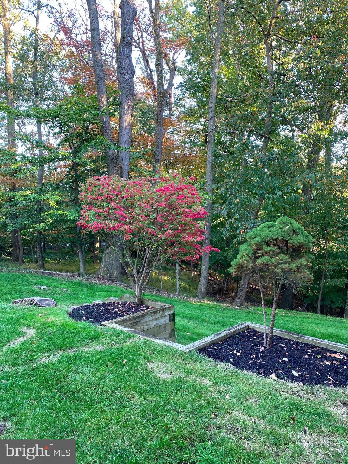 4650 Roundhill Road Ellicott City, MD 21043 - Photo 14 of 29 Gallery Image 14