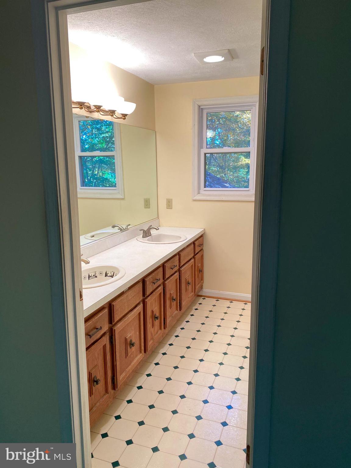 4650 Roundhill Road Ellicott City, MD 21043 - Photo 24 of 29 Master bath