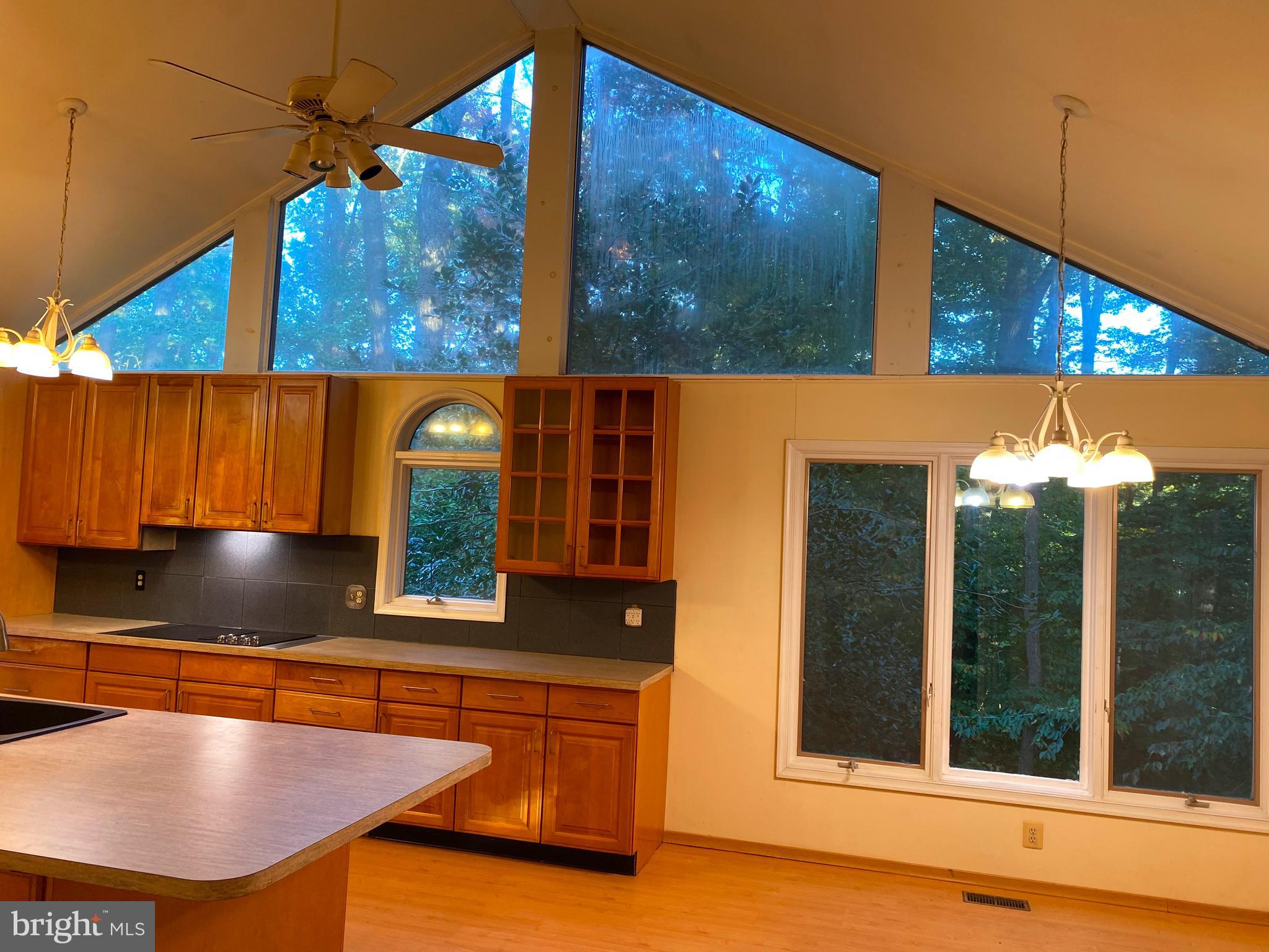 4650 Roundhill Road Ellicott City, MD 21043 - Photo 7 of 29 Great wooded view with tons of light