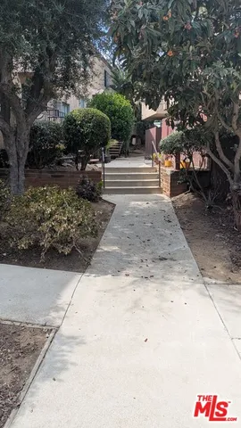 a view of a yard with plants