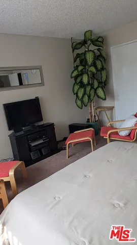 a room with a couch and a potted plant