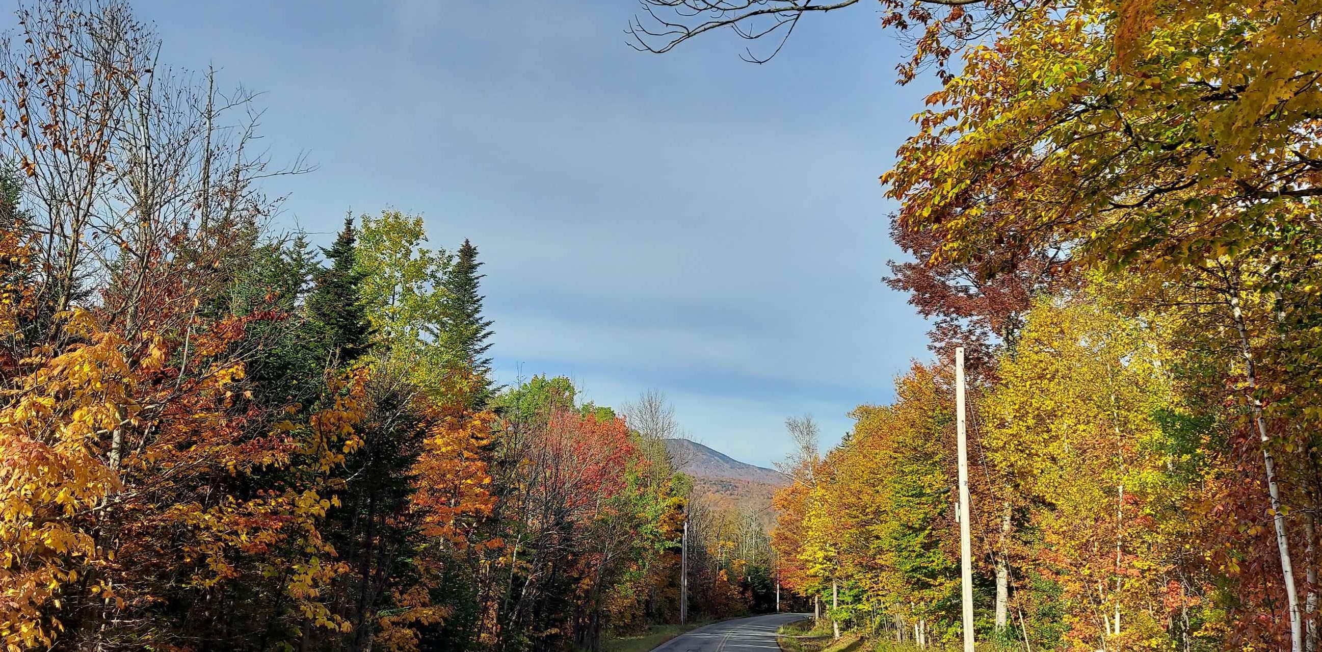 A1 Valley View Road East Dover, VT 05341 - Photo 4 of 12