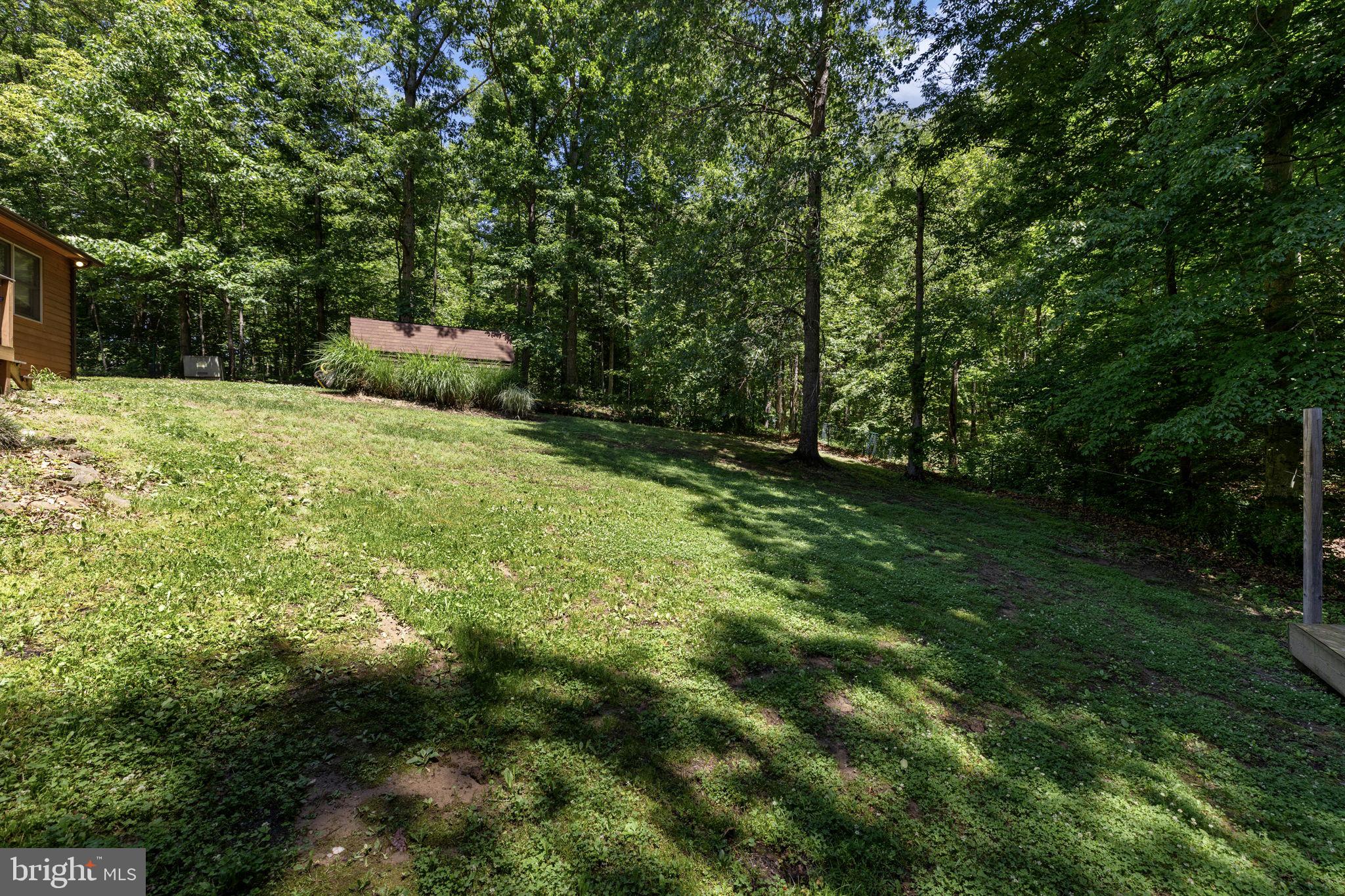 247 Bootons Lane Orange, VA 22960 - Photo 42 of 47 The yard space is great for outdoor play