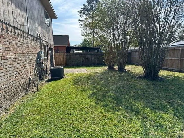 a view of backyard with tree