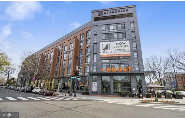 $1,800 | 1211 G Street Southeast, Unit 6, Washington, DC 20003