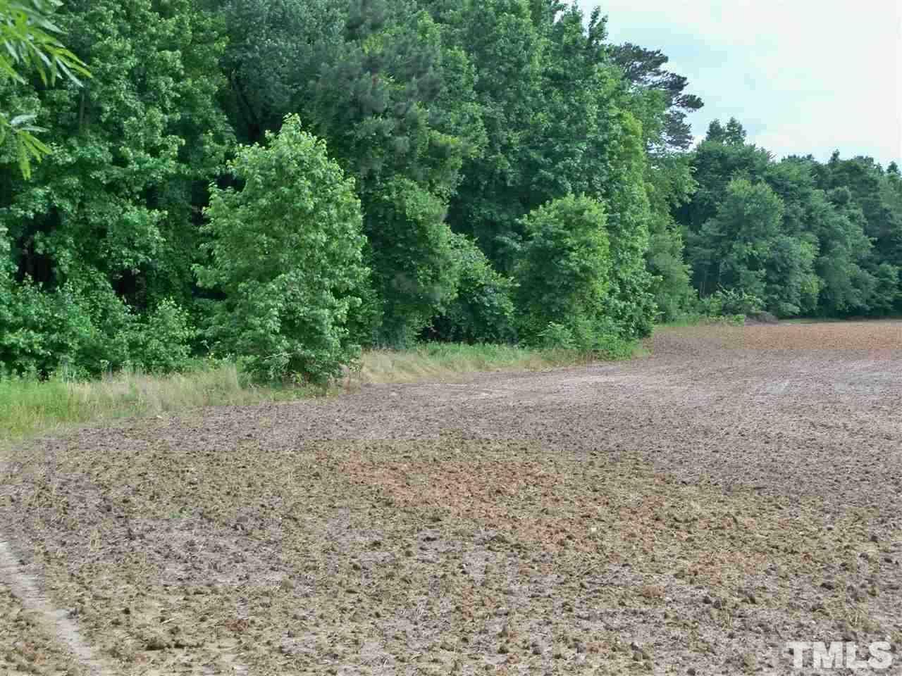 8420 Riley Hill Road Zebulon, NC 27597 - Photo 11 of 21 Gallery Image 11