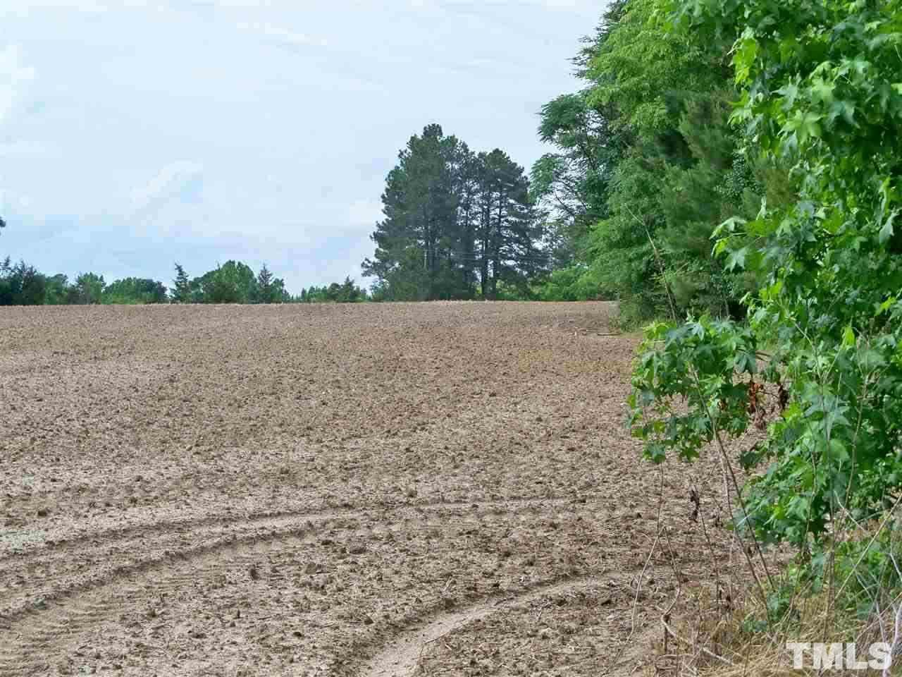8420 Riley Hill Road Zebulon, NC 27597 - Photo 12 of 21 Gallery Image 12