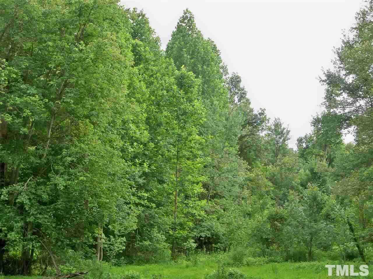 8420 Riley Hill Road Zebulon, NC 27597 - Photo 17 of 21 Gallery Image 17