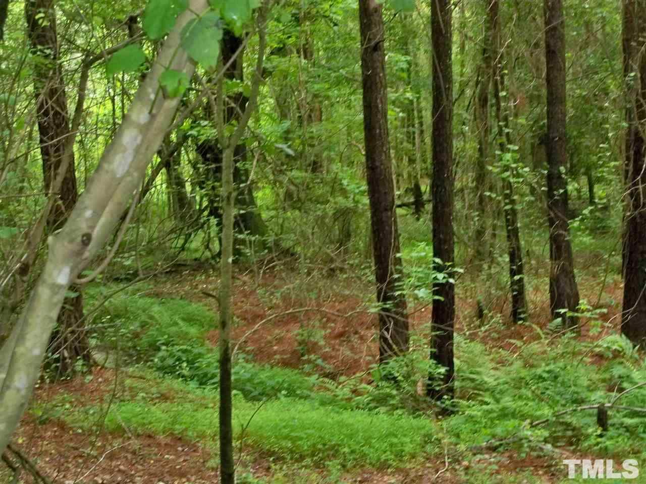 8420 Riley Hill Road Zebulon, NC 27597 - Photo 19 of 21 Gallery Image 19