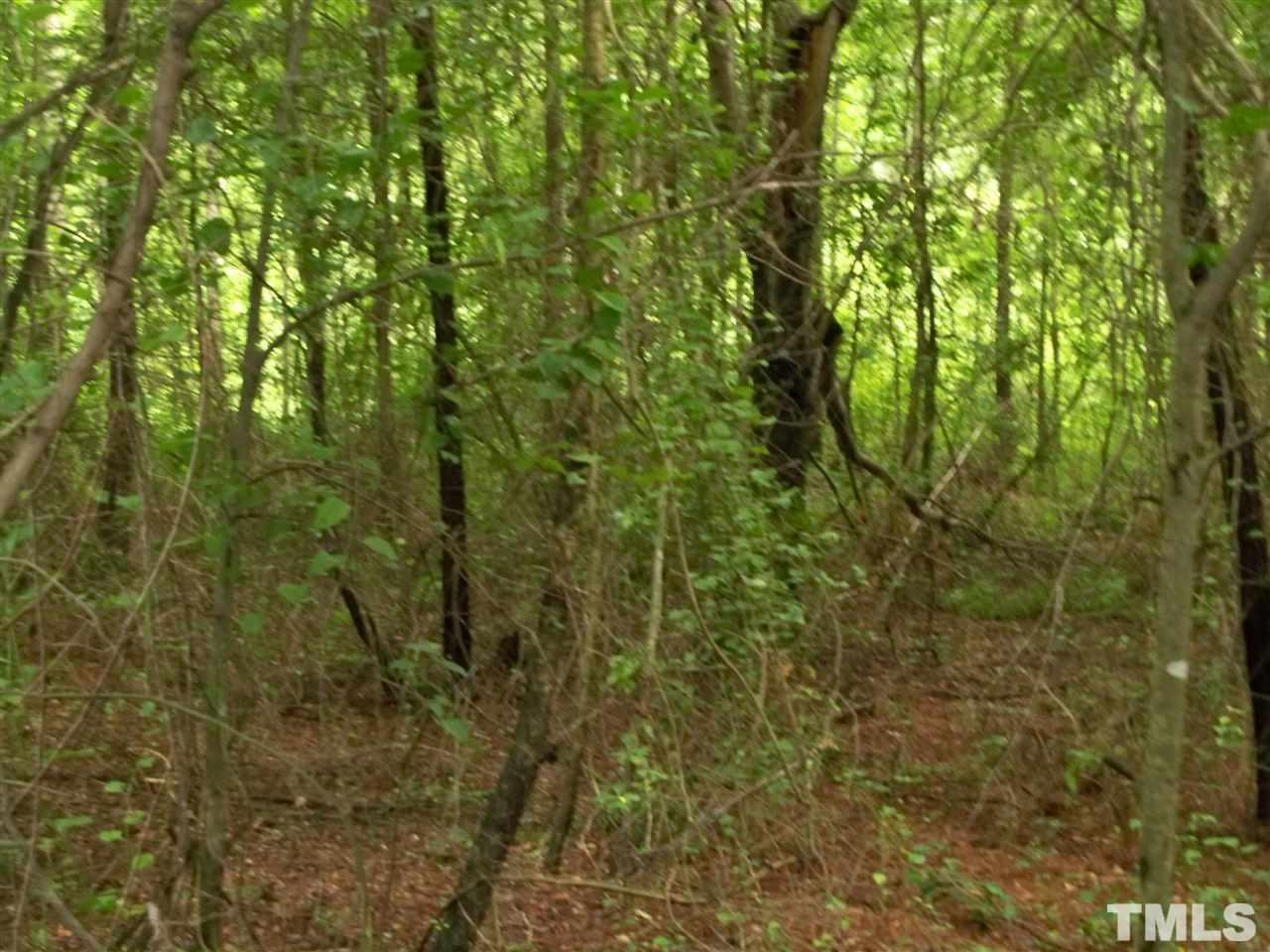 8420 Riley Hill Road Zebulon, NC 27597 - Photo 20 of 21 Gallery Image 20