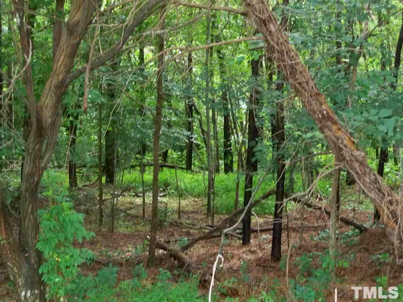 8420 Riley Hill Road Zebulon, NC 27597 - Photo 21 of 21 Gallery Image 21
