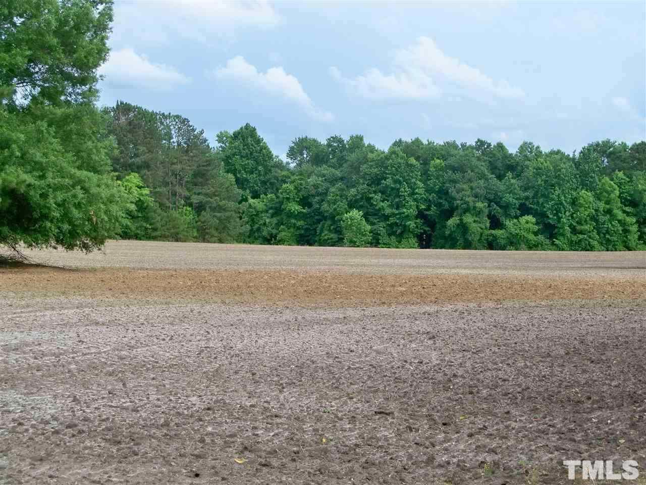 8420 Riley Hill Road Zebulon, NC 27597 - Photo 6 of 21 Gallery Image 6