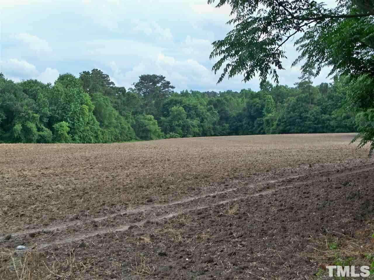8420 Riley Hill Road Zebulon, NC 27597 - Photo 9 of 21 Gallery Image 9
