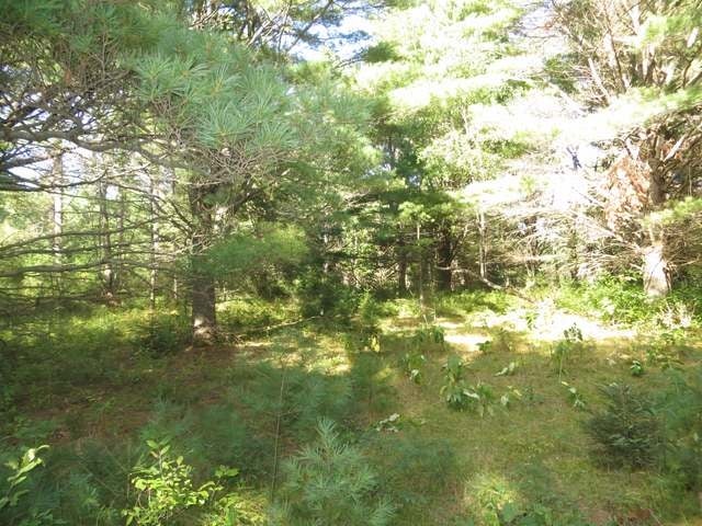 On Helmar Road Minocqua, WI 54548 - Photo 4 of 13 Gallery Image 4