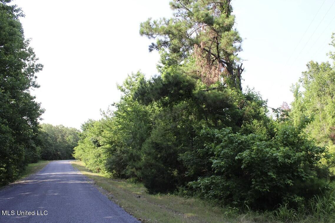 1005 Longtown Road Sarah, MS 38665 - Photo 54 of 59 5
