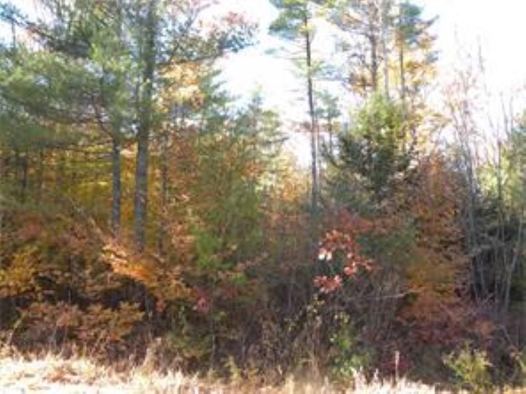 0 T M Wentworth Road Lebanon, ME 04027 - Photo 1 of 2 Photo