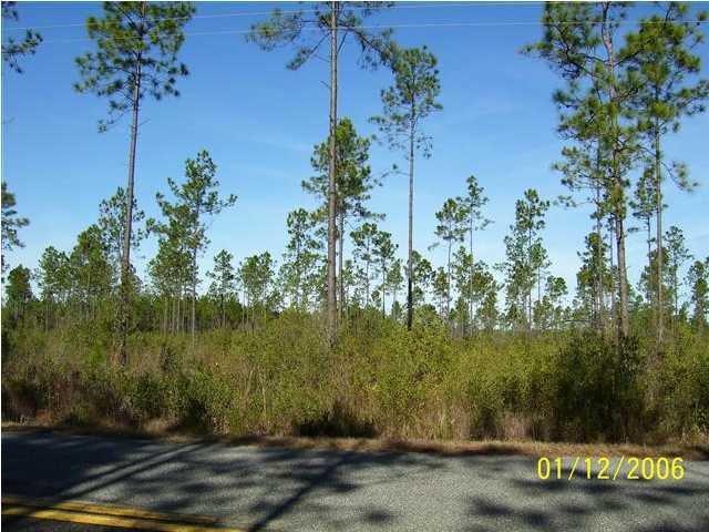 Lot 24 Pinelog Road Ebro, FL 32437 - Photo 1 of 3 Gallery Image 1