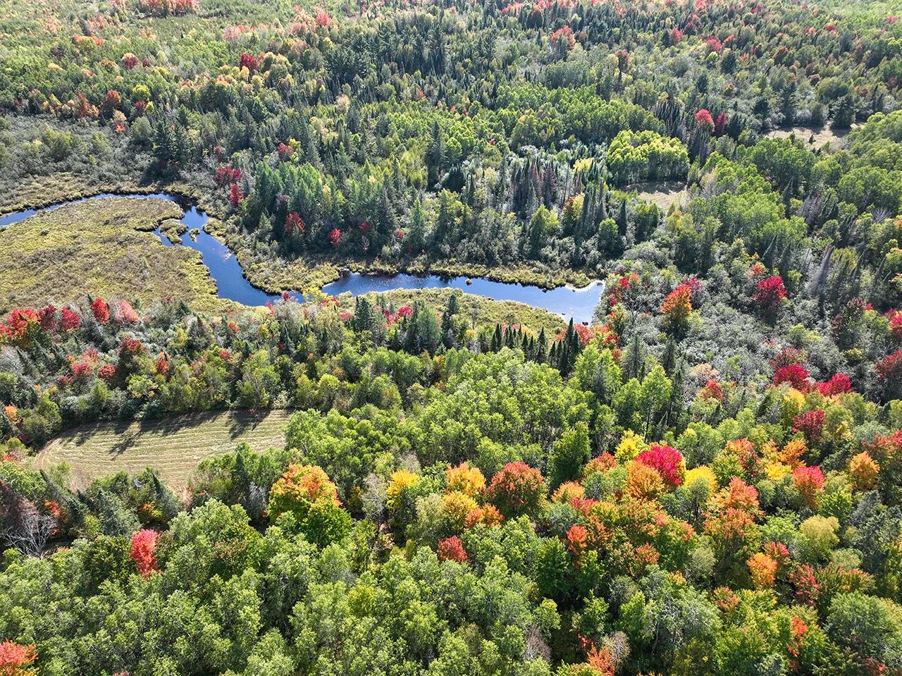 Off Coffee Creek Road Tomahawk, WI 54487 - Photo 1 of 50 Gallery Image 1