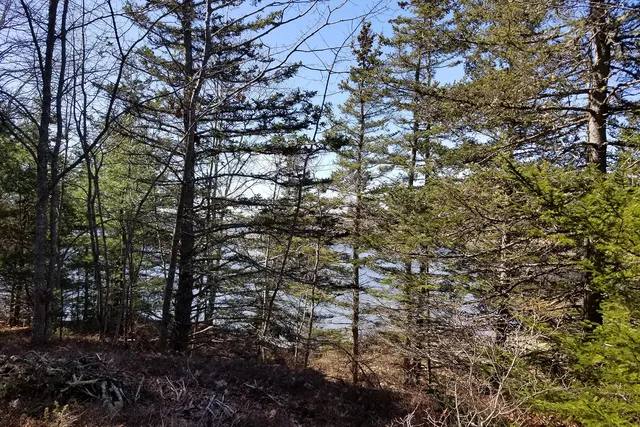$149,000 | 9 River Road, Unit LOT 3, Brooklin, ME 04616