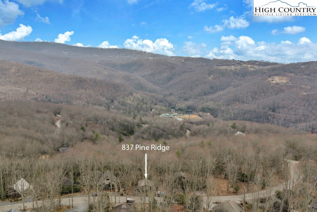 837 Pine Ridge Road Beech Mountain, NC 28604 - Photo 17 of 23 a view of a dry yard